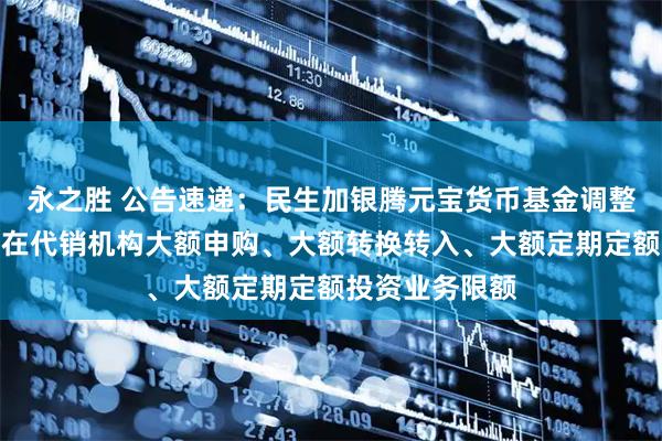 永之胜 公告速递：民生加银腾元宝货币基金调整非个人投资者在代销机构大额申购、大额转换转入、大额定期定额投资业务限额