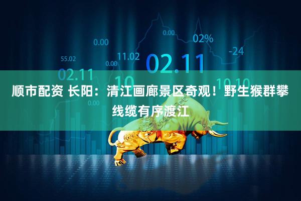 顺市配资 长阳：清江画廊景区奇观！野生猴群攀线缆有序渡江
