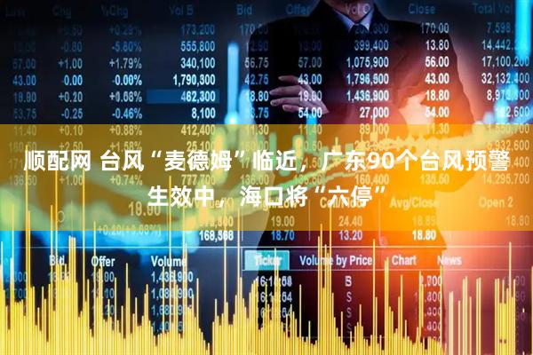 顺配网 台风“麦德姆”临近，广东90个台风预警生效中，海口将“六停”