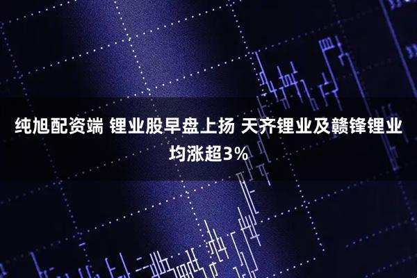 纯旭配资端 锂业股早盘上扬 天齐锂业及赣锋锂业均涨超3%